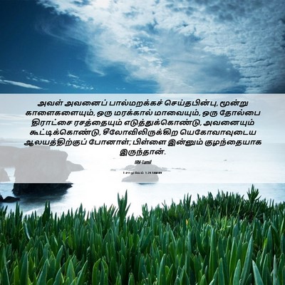 Picture 06 - 1 சாமுவேல் 1:24 TAMIRV - அவள் அவனைப் - Bible Verse Picture