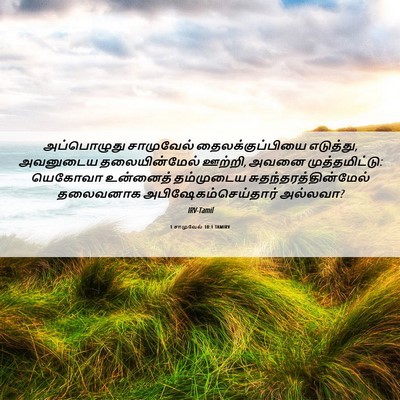 Picture 06 - 1 சாமுவேல் 10:1 TAMIRV - அப்பொழுது - Bible Verse Picture