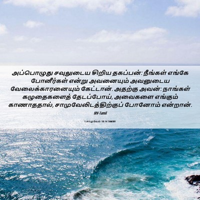 Picture 06 - 1 சாமுவேல் 10:14 TAMIRV - அப்பொழுது - Bible Verse Picture