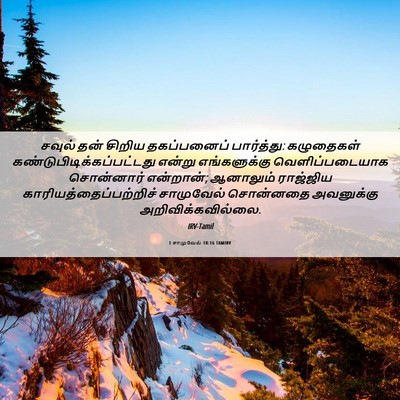 Picture 06 - 1 சாமுவேல் 10:16 TAMIRV - சவுல் தன் சிறிய - Bible Verse Picture