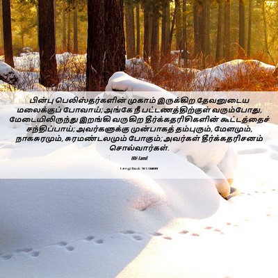 Picture 06 - 1 சாமுவேல் 10:5 TAMIRV - பின்பு - Bible Verse Picture