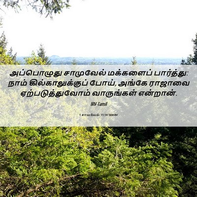 Picture 06 - 1 சாமுவேல் 11:14 TAMIRV - அப்பொழுது - Bible Verse Picture
