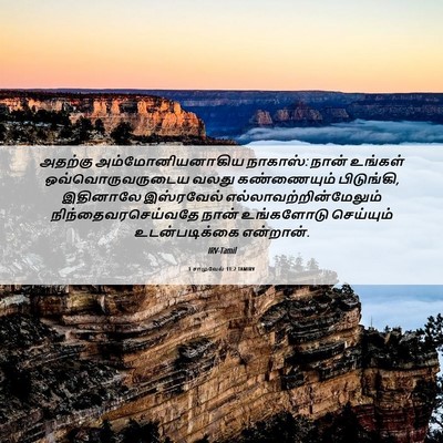 Picture 06 - 1 சாமுவேல் 11:2 TAMIRV - அதற்கு - Bible Verse Picture