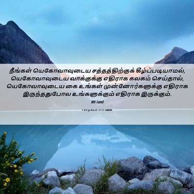 Picture 06 - 1 சாமுவேல் 12:15 TAMIRV - நீங்கள் - Bible Verse Picture