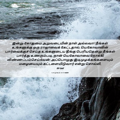 Picture 06 - 1 சாமுவேல் 12:17 TAMIRV - இன்று கோதுமை - Bible Verse Picture