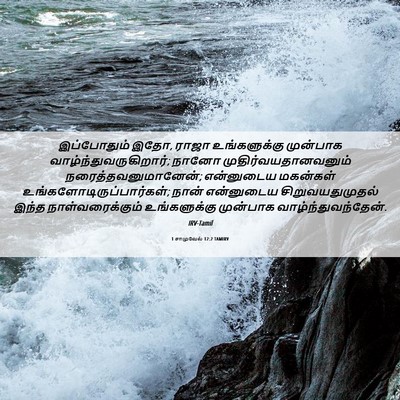 Picture 06 - 1 சாமுவேல் 12:2 TAMIRV - இப்போதும் இதோ, - Bible Verse Picture