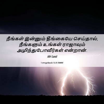 Picture 06 - 1 சாமுவேல் 12:25 TAMIRV - நீங்கள் இன்னும் - Bible Verse Picture