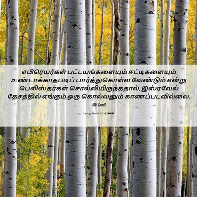 Picture 06 - 1 சாமுவேல் 13:19 TAMIRV - எபிரெயர்கள் - Bible Verse Picture