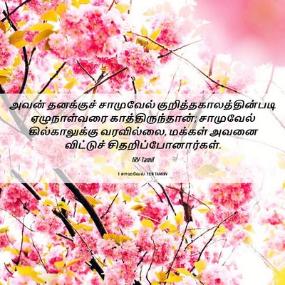Picture 06 - 1 சாமுவேல் 13:8 TAMIRV - அவன் தனக்குச் - Bible Verse Picture