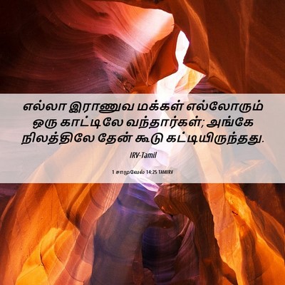 Picture 06 - 1 சாமுவேல் 14:25 TAMIRV - எல்லா இராணுவ - Bible Verse Picture