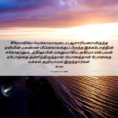 Picture 06 - 1 சாமுவேல் 14:3 TAMIRV - சீலோவிலே - Bible Verse Picture