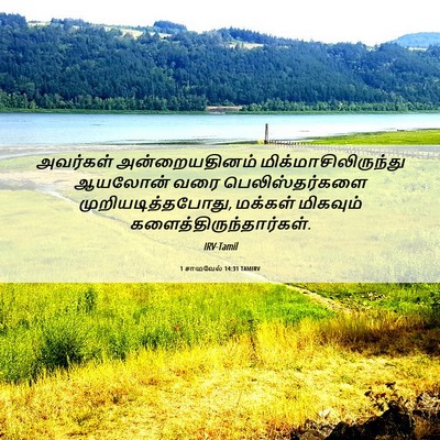 Picture 06 - 1 சாமுவேல் 14:31 TAMIRV - அவர்கள் - Bible Verse Picture