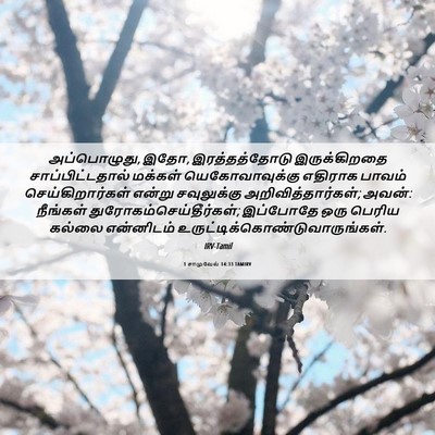 Picture 06 - 1 சாமுவேல் 14:33 TAMIRV - அப்பொழுது, இதோ, - Bible Verse Picture