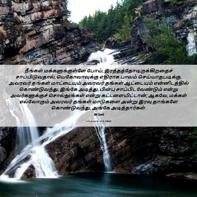 Picture 06 - 1 சாமுவேல் 14:34 TAMIRV - நீங்கள் - Bible Verse Picture
