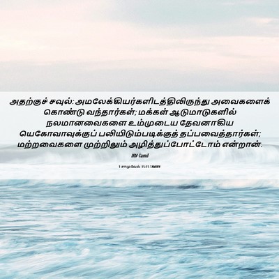 Picture 06 - 1 சாமுவேல் 15:15 TAMIRV - அதற்குச் சவுல்: - Bible Verse Picture