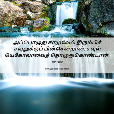 Picture 06 - 1 சாமுவேல் 15:31 TAMIRV - அப்பொழுது - Bible Verse Picture