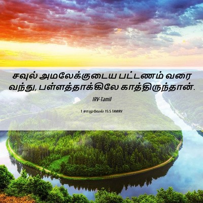 Picture 06 - 1 சாமுவேல் 15:5 TAMIRV - சவுல் அமலேக்குடைய - Bible Verse Picture