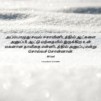 Picture 06 - 1 சாமுவேல் 16:19 TAMIRV - அப்பொழுது சவுல்: - Bible Verse Picture