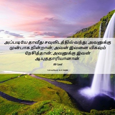 Picture 06 - 1 சாமுவேல் 16:21 TAMIRV - அப்படியே தாவீது - Bible Verse Picture