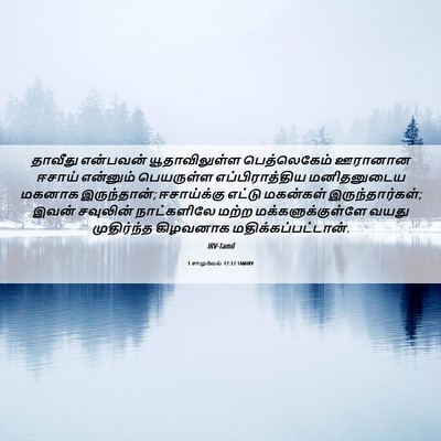 Picture 06 - 1 சாமுவேல் 17:12 TAMIRV - தாவீது என்பவன் - Bible Verse Picture
