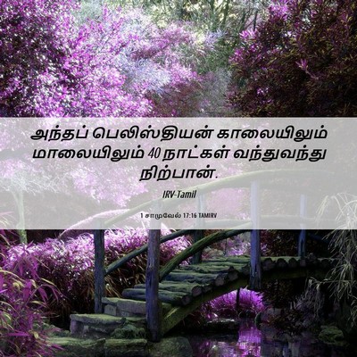 Picture 06 - 1 சாமுவேல் 17:16 TAMIRV - அந்தப் - Bible Verse Picture