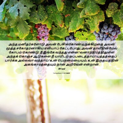 Picture 06 - 1 சாமுவேல் 17:28 TAMIRV - அந்த மனிதர்களோடு - Bible Verse Picture