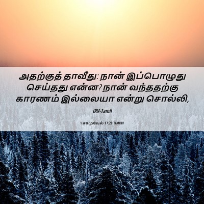 Picture 06 - 1 சாமுவேல் 17:29 TAMIRV - அதற்குத் தாவீது: - Bible Verse Picture