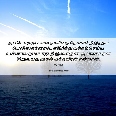 Picture 06 - 1 சாமுவேல் 17:33 TAMIRV - அப்பொழுது சவுல் - Bible Verse Picture