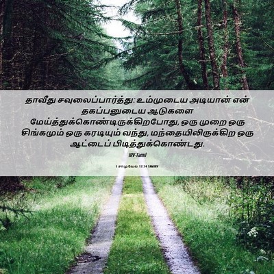 Picture 06 - 1 சாமுவேல் 17:34 TAMIRV - தாவீது - Bible Verse Picture