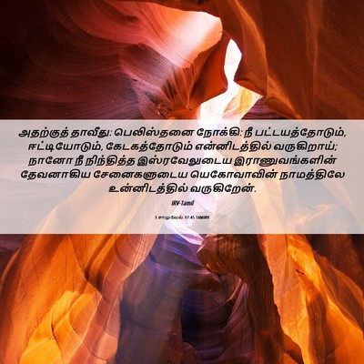 Picture 06 - 1 சாமுவேல் 17:45 TAMIRV - அதற்குத் தாவீது: - Bible Verse Picture