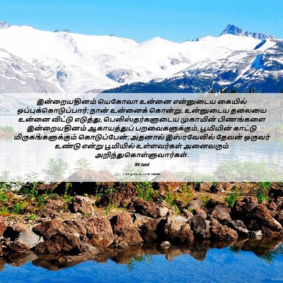 Picture 06 - 1 சாமுவேல் 17:46 TAMIRV - இன்றையதினம் - Bible Verse Picture