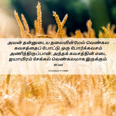 Picture 06 - 1 சாமுவேல் 17:5 TAMIRV - அவன் தன்னுடைய - Bible Verse Picture