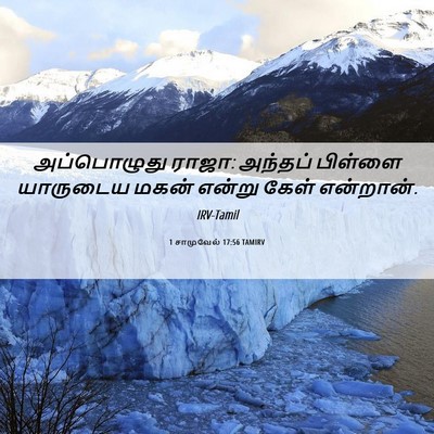 Picture 06 - 1 சாமுவேல் 17:56 TAMIRV - அப்பொழுது ராஜா: - Bible Verse Picture