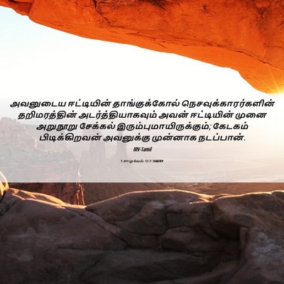 Picture 06 - 1 சாமுவேல் 17:7 TAMIRV - அவனுடைய ஈட்டியின் - Bible Verse Picture