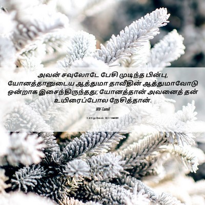 Picture 06 - 1 சாமுவேல் 18:1 TAMIRV - அவன் சவுலோடே பேசி - Bible Verse Picture