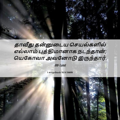 Picture 06 - 1 சாமுவேல் 18:14 TAMIRV - தாவீது தன்னுடைய - Bible Verse Picture