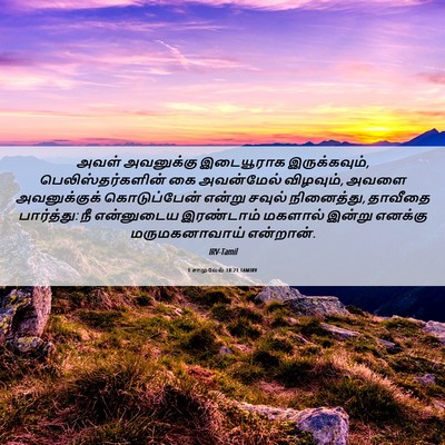 Picture 06 - 1 சாமுவேல் 18:21 TAMIRV - அவள் அவனுக்கு - Bible Verse Picture