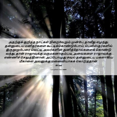 Picture 06 - 1 சாமுவேல் 18:27 TAMIRV - அதற்குக் குறித்த - Bible Verse Picture