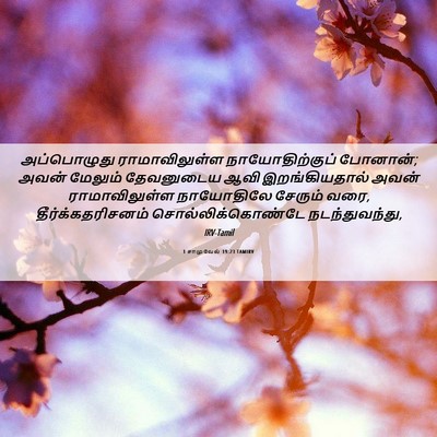 Picture 06 - 1 சாமுவேல் 19:23 TAMIRV - அப்பொழுது - Bible Verse Picture