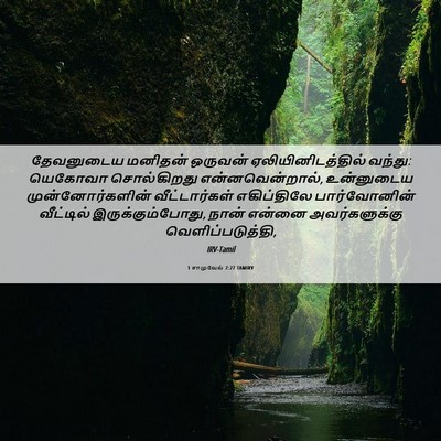 Picture 06 - 1 சாமுவேல் 2:27 TAMIRV - தேவனுடைய மனிதன் - Bible Verse Picture