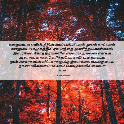 Picture 06 - 1 சாமுவேல் 2:28 TAMIRV - என்னுடைய - Bible Verse Picture