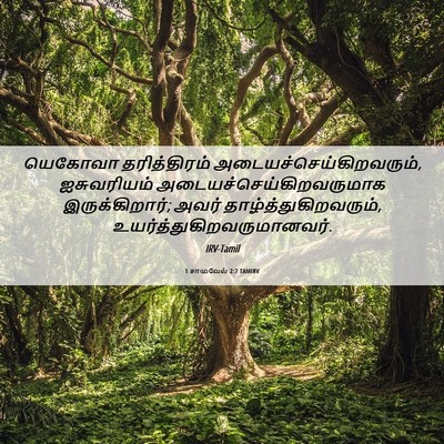 Picture 06 - 1 சாமுவேல் 2:7 TAMIRV - யெகோவா தரித்திரம் - Bible Verse Picture