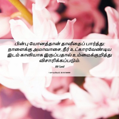 Picture 06 - 1 சாமுவேல் 20:18 TAMIRV - பின்பு யோனத்தான் - Bible Verse Picture
