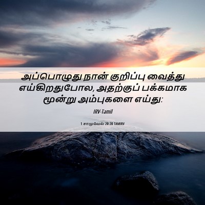 Picture 06 - 1 சாமுவேல் 20:20 TAMIRV - அப்பொழுது நான் - Bible Verse Picture