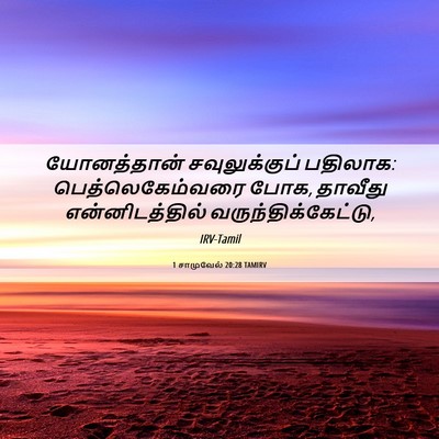 Picture 06 - 1 சாமுவேல் 20:28 TAMIRV - யோனத்தான் - Bible Verse Picture