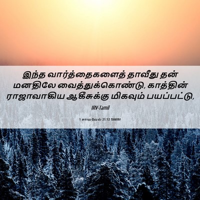Picture 06 - 1 சாமுவேல் 21:12 TAMIRV - இந்த - Bible Verse Picture