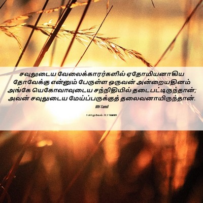 Picture 06 - 1 சாமுவேல் 21:7 TAMIRV - சவுலுடைய - Bible Verse Picture