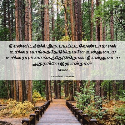 Picture 06 - 1 சாமுவேல் 22:23 TAMIRV - நீ என்னிடத்தில் - Bible Verse Picture