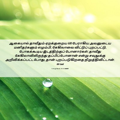 Picture 06 - 1 சாமுவேல் 23:13 TAMIRV - ஆகையால் தாவீதும் - Bible Verse Picture