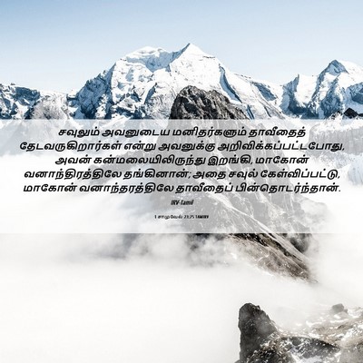 Picture 06 - 1 சாமுவேல் 23:25 TAMIRV - சவுலும் அவனுடைய - Bible Verse Picture